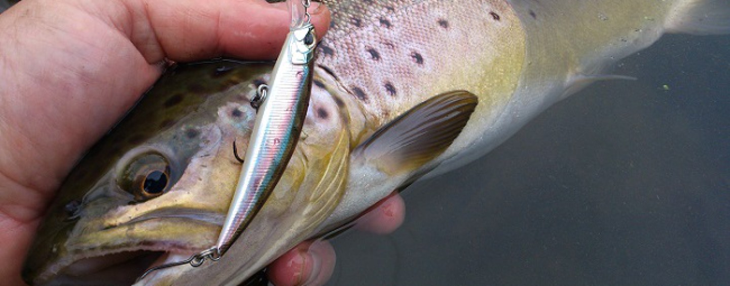 Mis 8 mejores señuelos la pesca spinning de salmonidos | de pesca deportiva – Coto de PeZca
