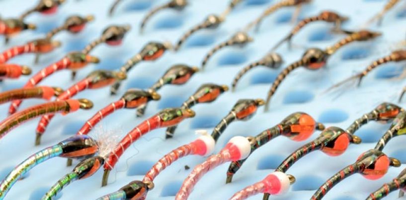 Por qué la pesca con ninfas tiene tanta importancia en el arranque de temporada