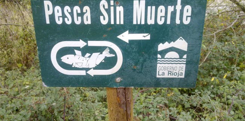 ¿Es compatible la pesca tradicional y la pesca sin muerte?