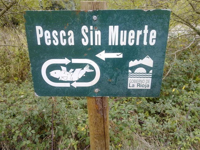 pesca-sin-muerte