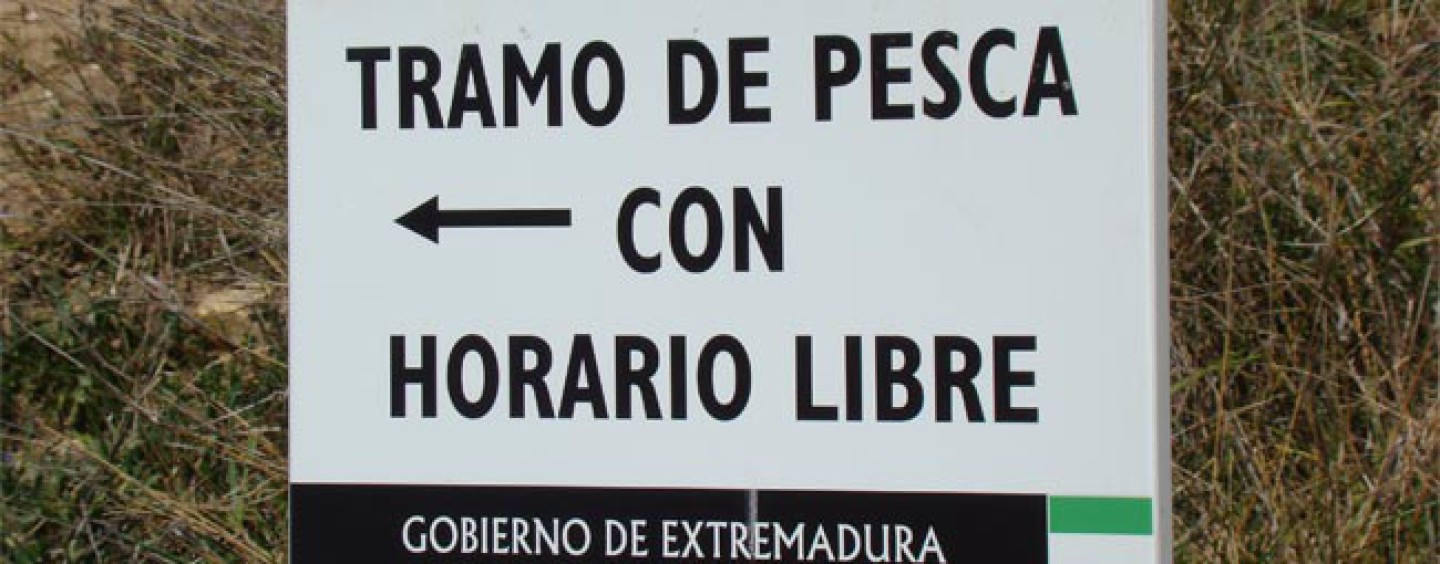 Consejos para pasar una noche de pesca