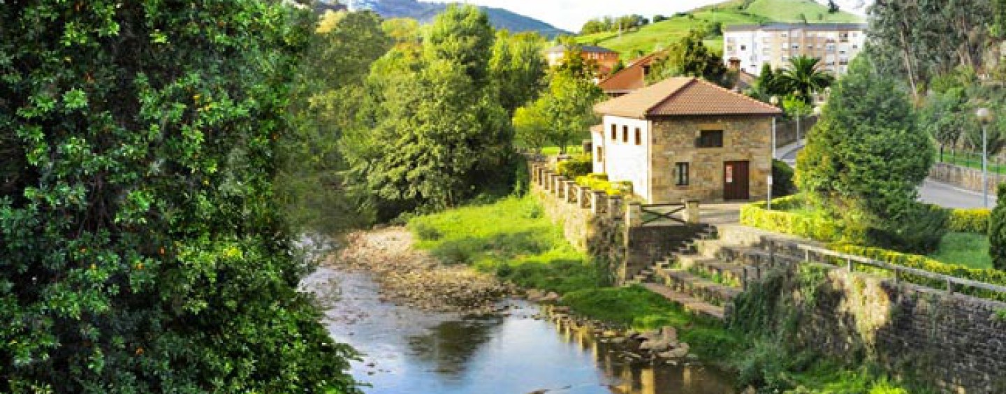 Los ríos salmoneros de España (XXII): La esperanza de recuperación del salmón en el río Miera