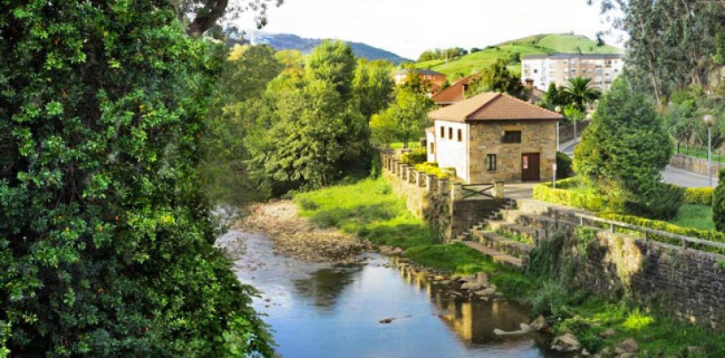 Los ríos salmoneros de España (XXII): La esperanza de recuperación del salmón en el río Miera