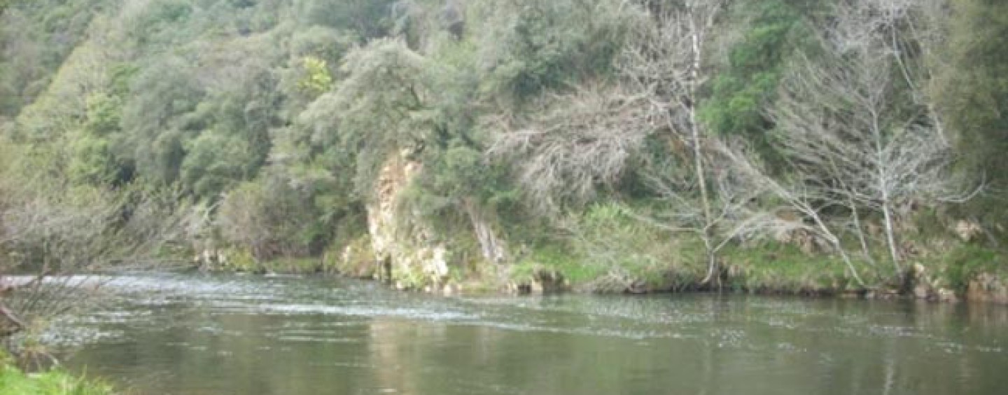 Los ríos salmoneros de España (XX): El salmón en el río Nansa, atrapado por el hormigón de las presas