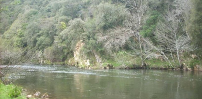 Los ríos salmoneros de España (XX): El salmón en el río Nansa, atrapado por el hormigón de las presas