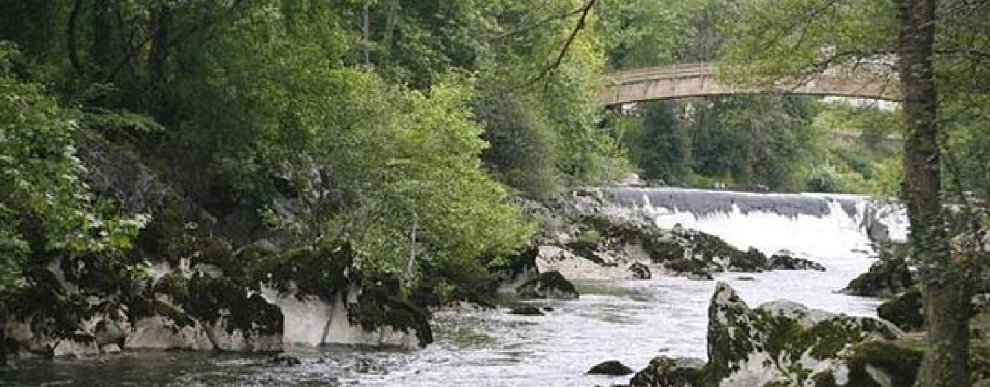 Los ríos salmoneros de España (XXI): El salmón en el río Pas y los problemas de captación de agua