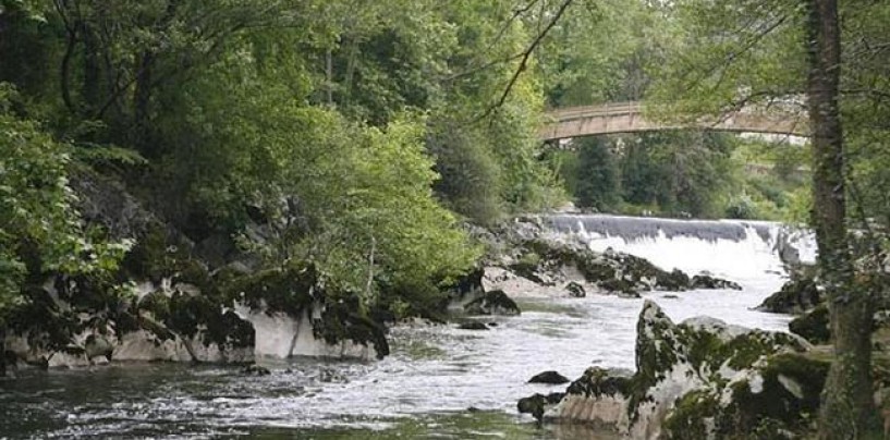 Los ríos salmoneros de España (XXI): El salmón en el río Pas y los problemas de captación de agua