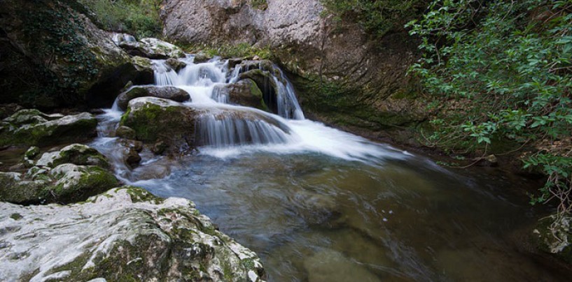 Los ríos salmoneros de España (XVIII): El salmón en el río Bedón y el río Puron, dos pequeños ríos a proteger