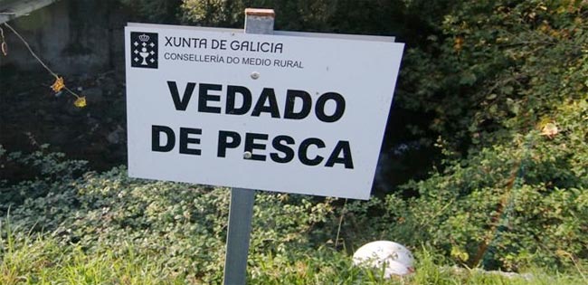 vedado-pesca