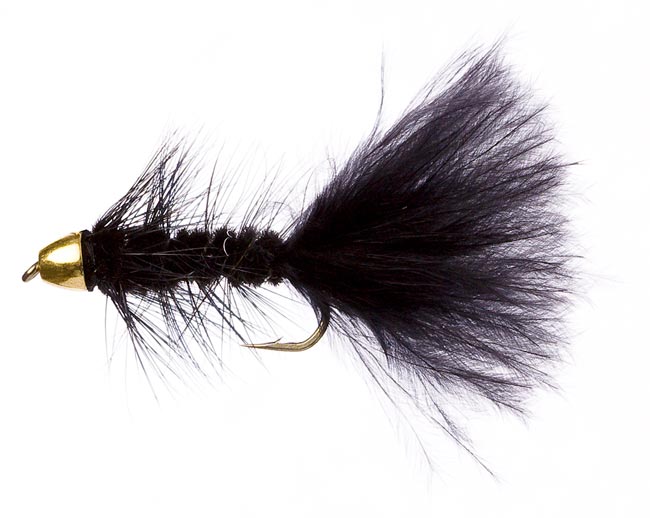 Wooly Bugger wooly1