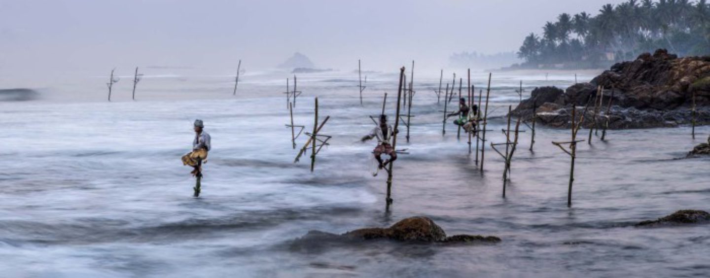 El origen de la pesca, breve historia sobre la evolución de la pesca