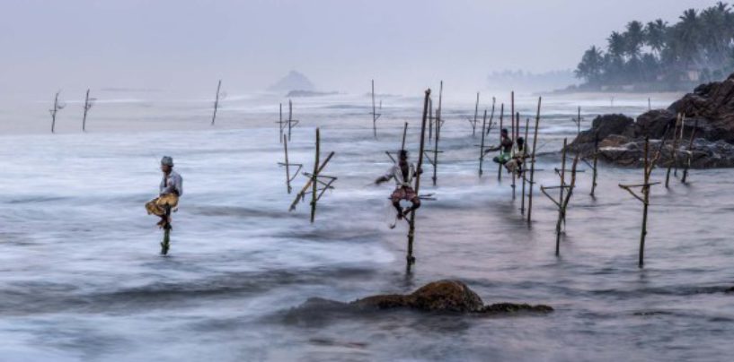 El origen de la pesca, breve historia sobre la evolución de la pesca