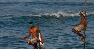 Pesca en Sri Lanka