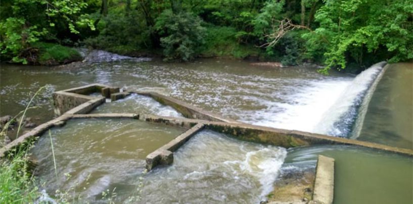 Los ríos salmoneros de España (XXVI): El salmón en el río Lea, una historia de esperanza e incertidumbre