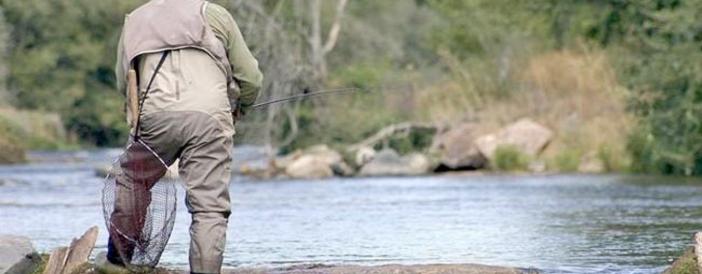 Pezcador al día, principales noticias de pesca (septiembre 2016, 1)