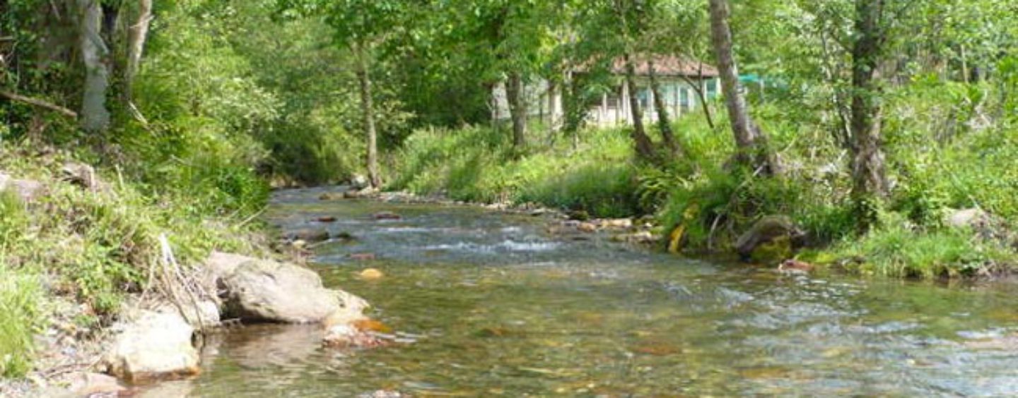 Los ríos salmoneros de España (XXVIII): el milagro del regreso y reproducción del salmón en el río Oiartzun