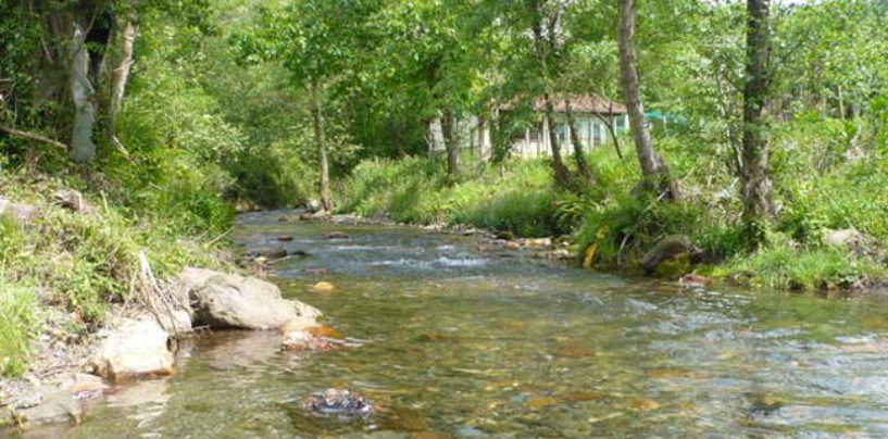 Los ríos salmoneros de España (XXVIII): el milagro del regreso y reproducción del salmón en el río Oiartzun