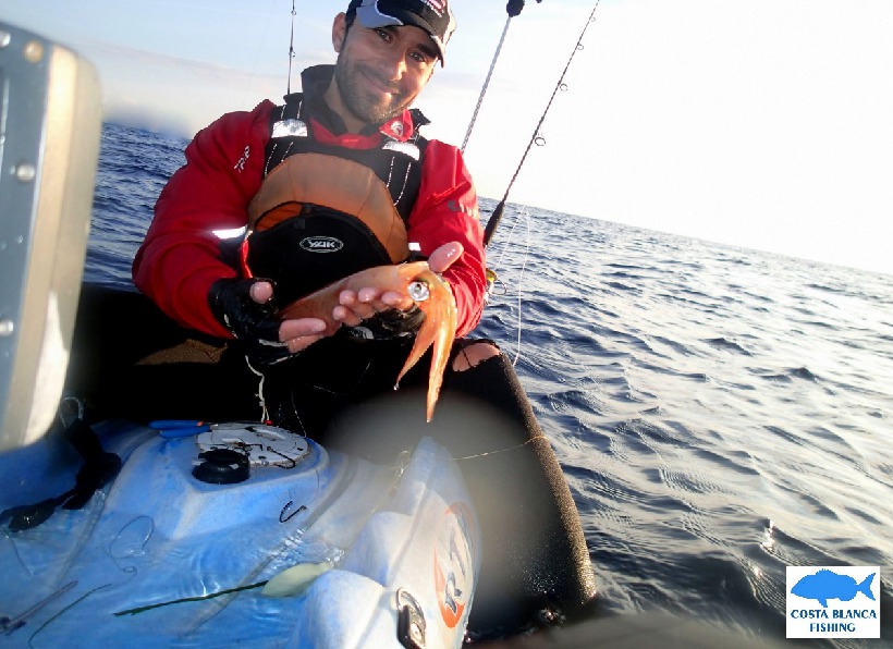 pesca con cebo vivo pesca con cebo vivo