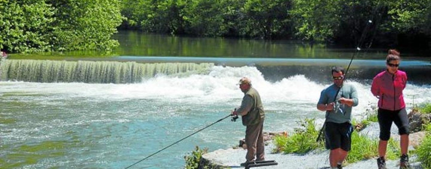 Otro cierre calamitososo de la temporada del Salmón en el Bidasoa y una reflexión sobre el futuro