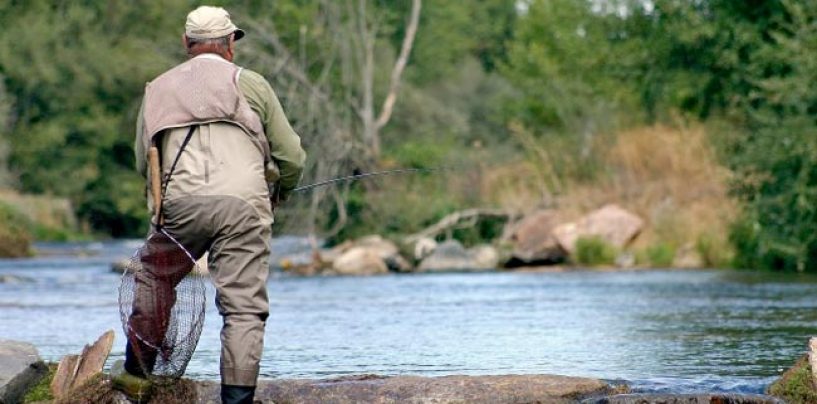 Pezcador al día, principales noticias de pesca (Julio 2016, 4)