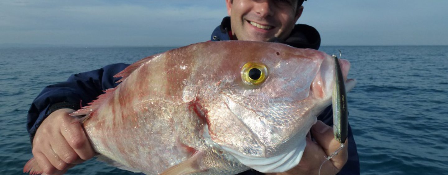 La pesca de brecas, como, donde y con qué