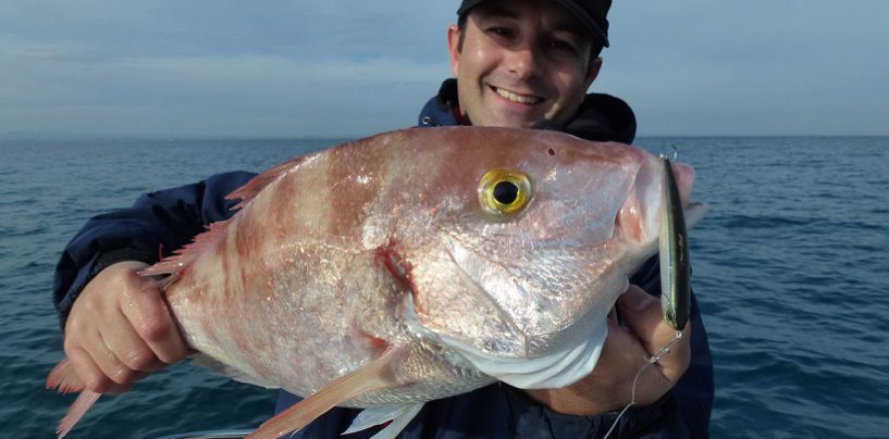 La pesca de brecas, como, donde y con qué