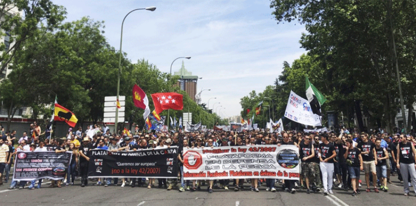 Después de la manifestación en defensa de la pesca y caza ¿Qué pasará? ¿Qué debemos hacer?