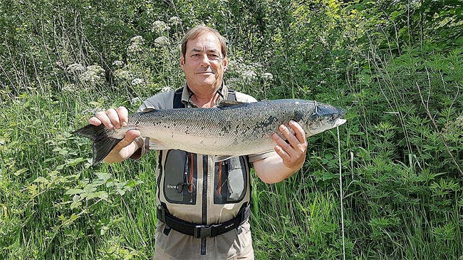 salmon-asturias