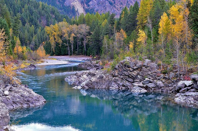 flathead-river