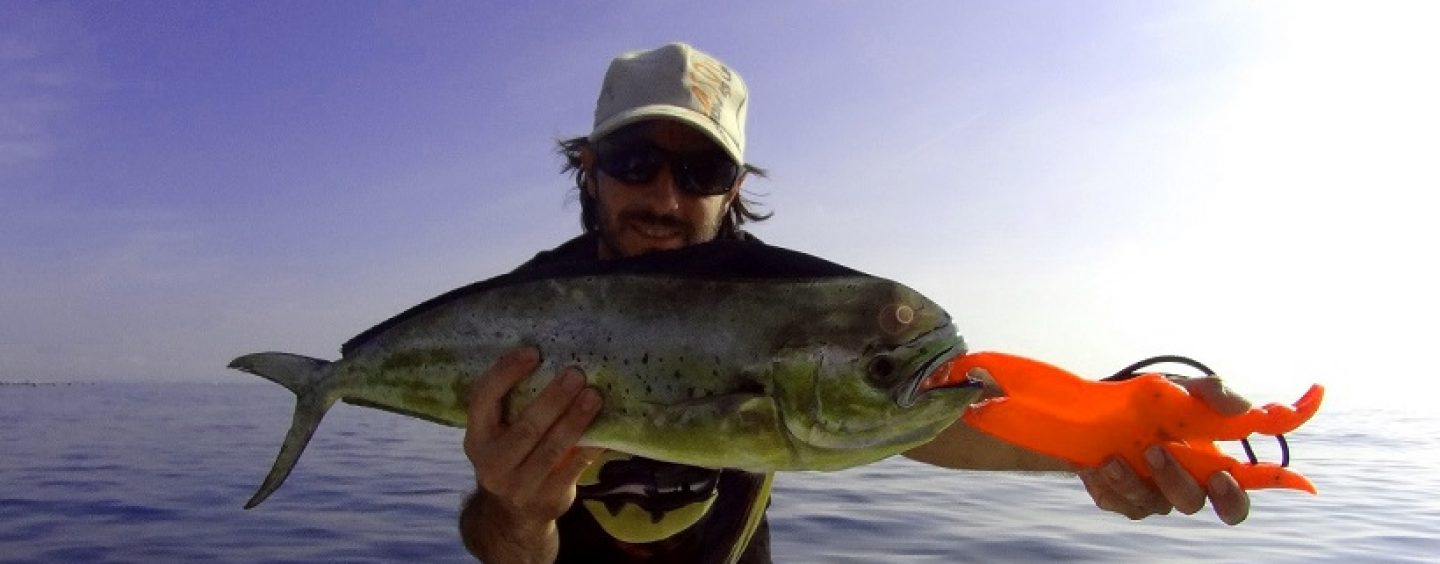 Cucharilla Pulpo Luky de Mapso, letal en la pesca de llampugas