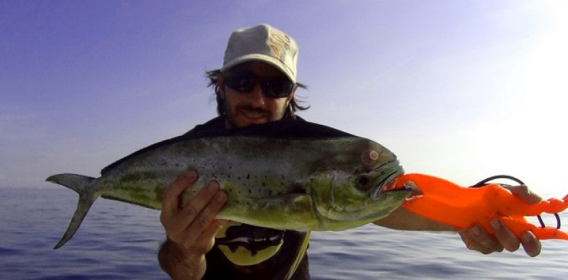 Cucharilla Pulpo Luky de Mapso, letal en la pesca de llampugas