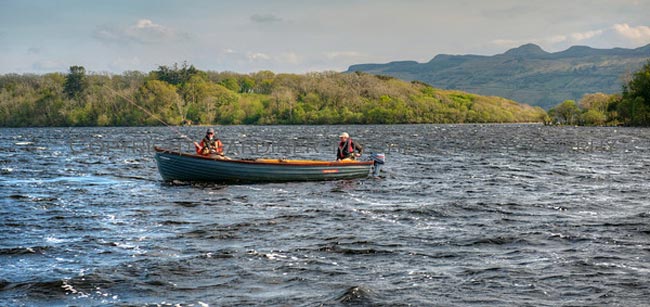 Trucha ferox lough melvin