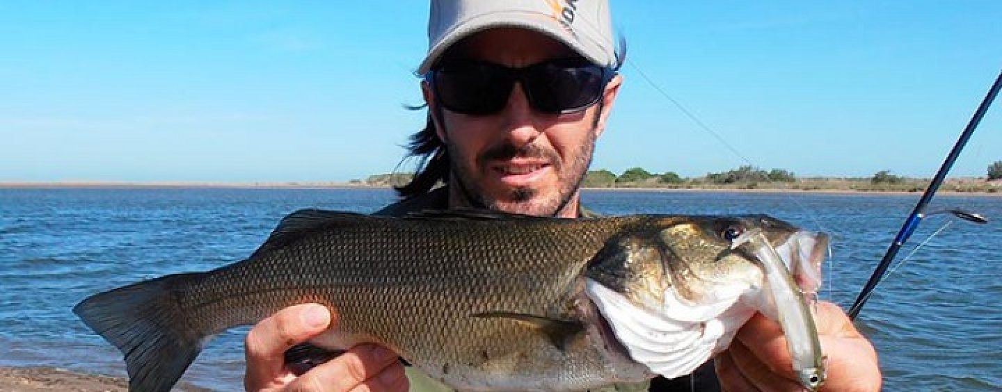 El montaje doble zulú. El arma secreta de los pescadores profesionales del bass