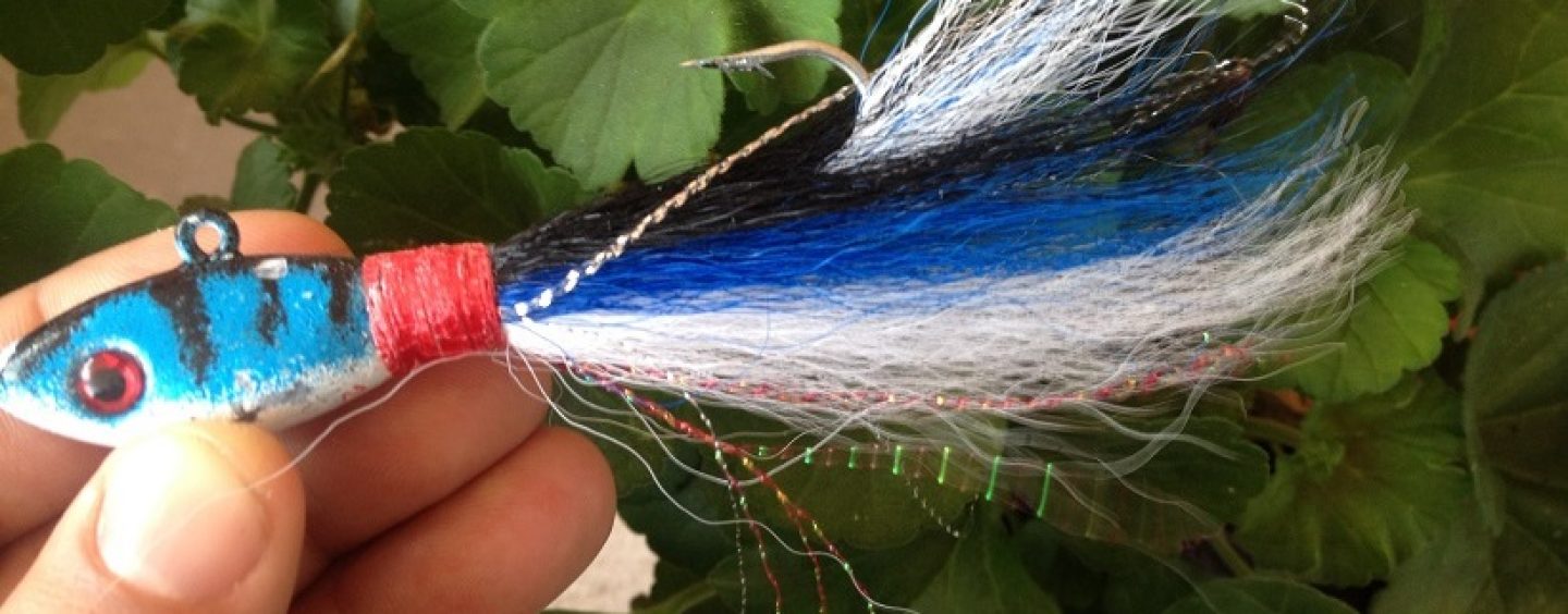 ¿Porque se utilizan tan poco los bucktail jigs en la costa cantábrica?