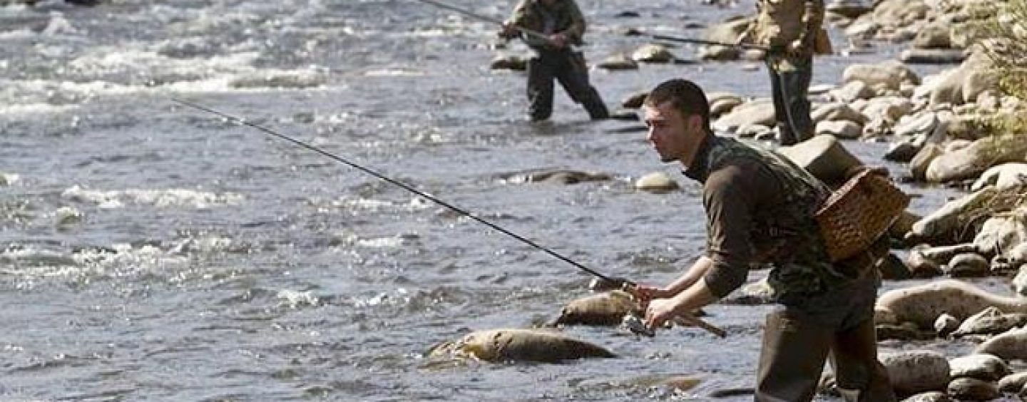 ¿Qué cucharillas necesitas para comenzar la temporada de la trucha? (I): Ríos caudalosos