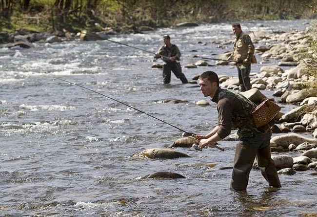 cucharillas necesitas para comenzar la temporada de la trucha