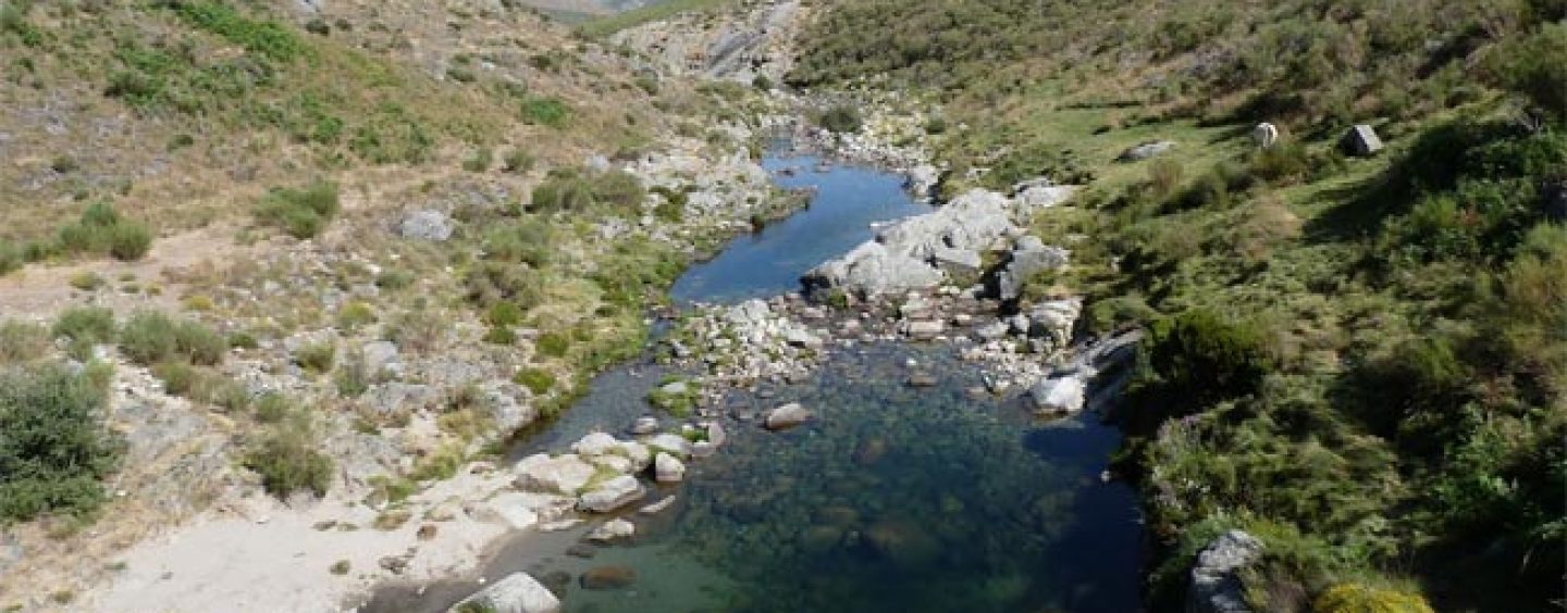 Los ríos trucheros de España (V): El río Barbellido (Ávila)