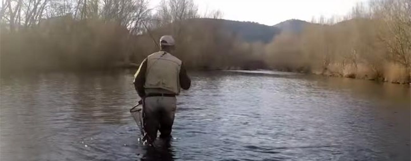 Los mejores ríos trucheros de España (VII): El río Segre