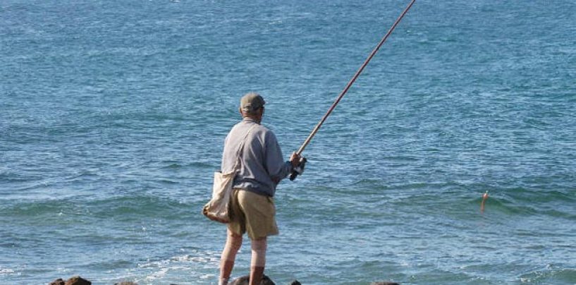 Pezcador al día, principales noticias de pesca (octubre 2017, 2)