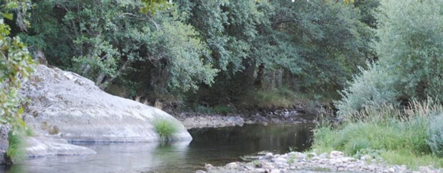 Los mejores ríos trucheros de España (VIII): El río Omaña