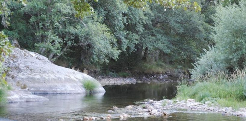 Los mejores ríos trucheros de España (VIII): El río Omaña