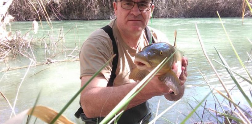 Buscar la profundidad o fondo pescando barbos a la pasada