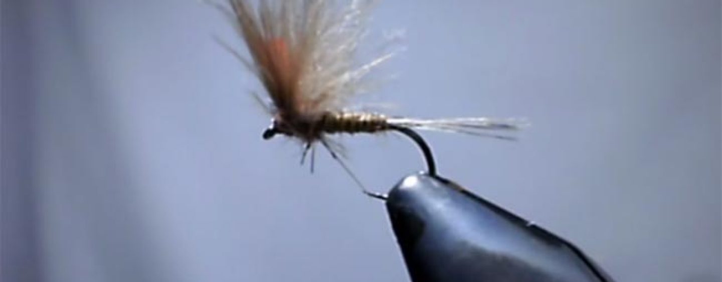 Vídeo de pesca: Montando una mosca de mayo genérica con CDC