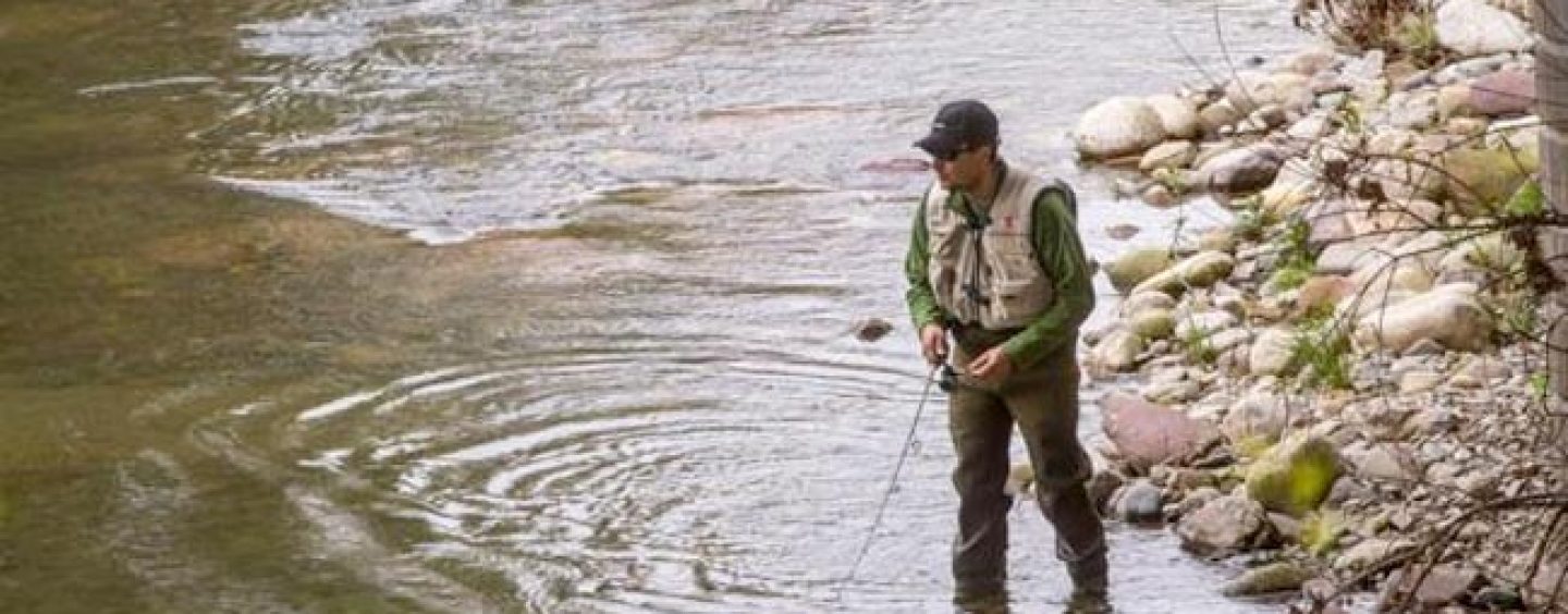 Pezcador al día, principales noticias de pesca (Mayo 2017, 5)