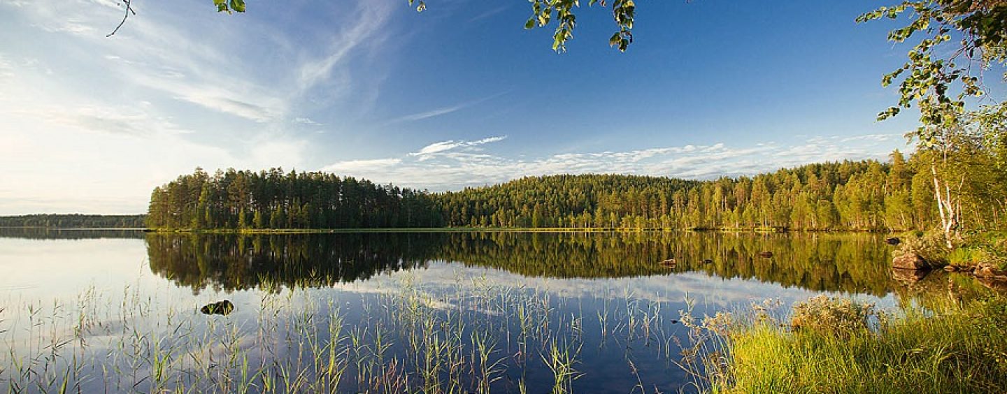 La pesca en Finlandia de especies de interior (I)