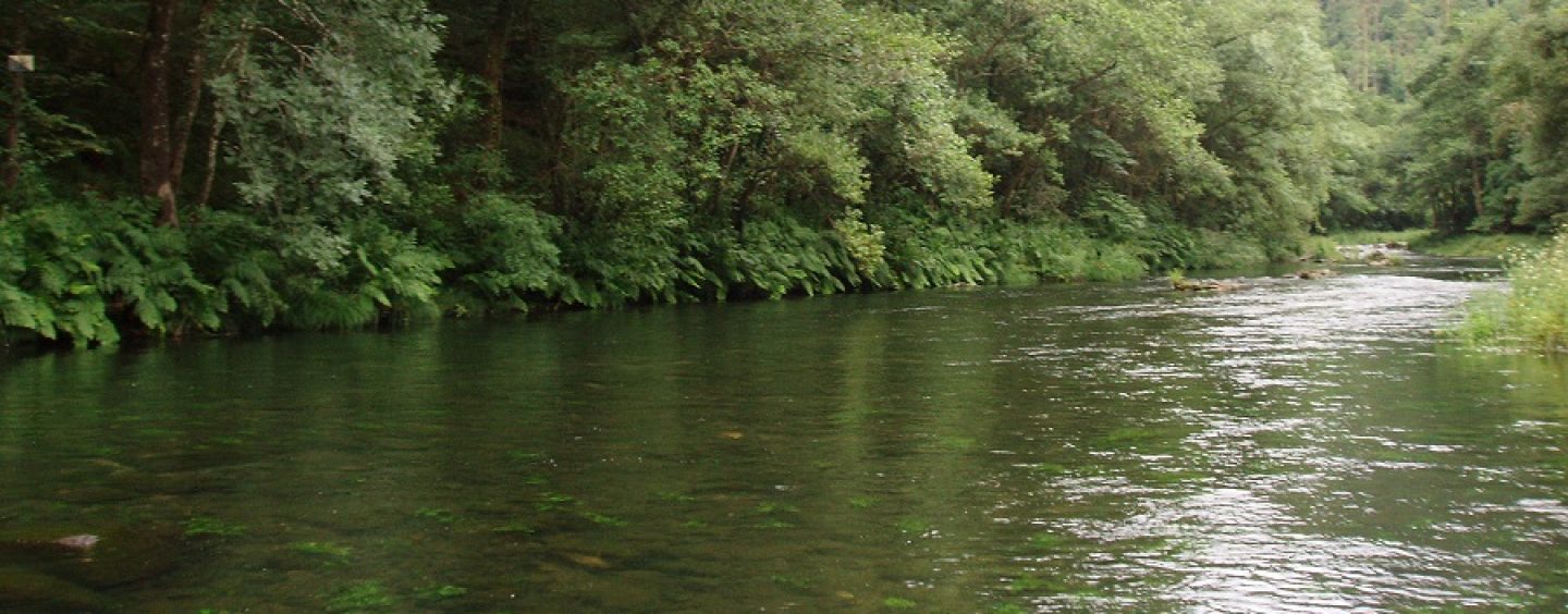 Pesca en el Coto de Ombre en el Rio Eume