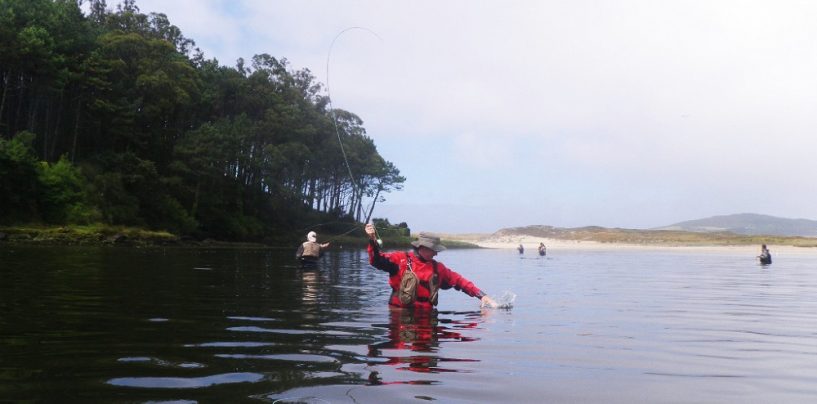 Ria de Lires, territorio mújol para al pesca a mosca