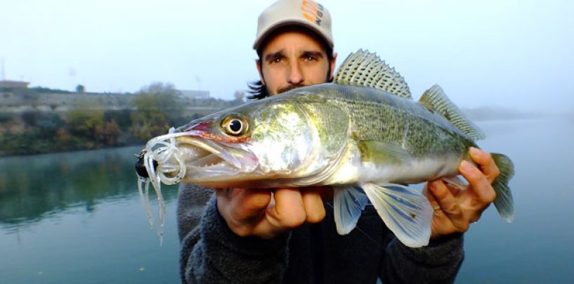 Otoño y pesca de luciopercas: un momento clave