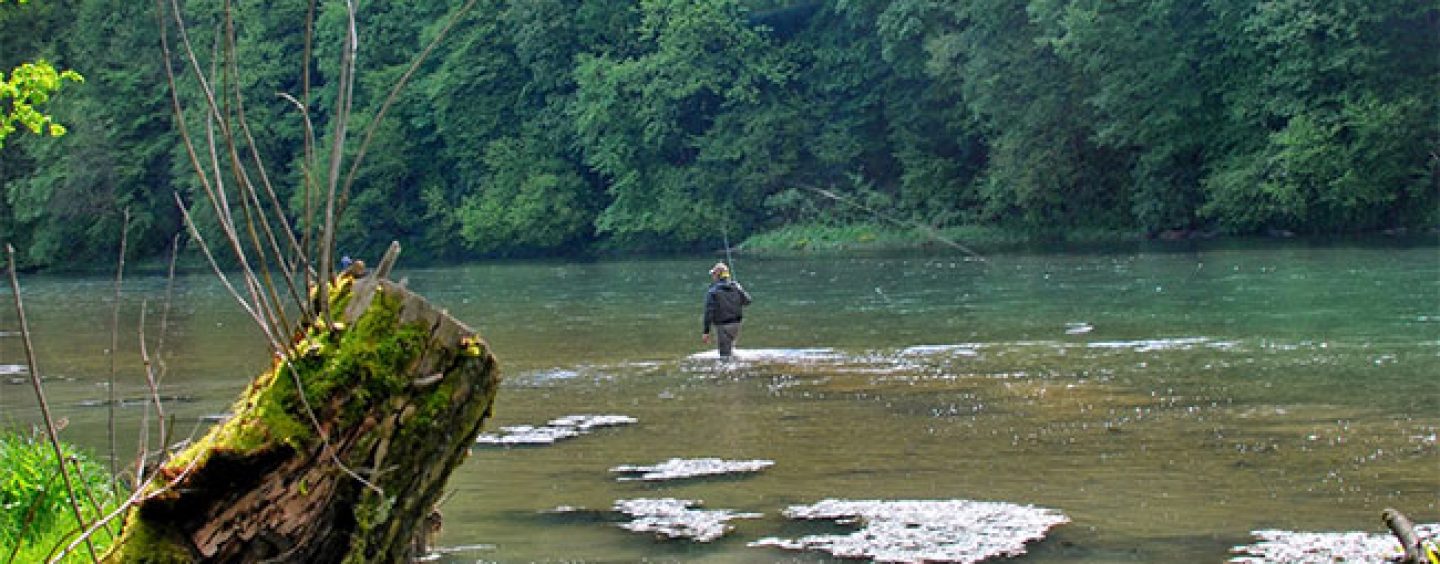 Destinos de Pesca: El río San, el paraíso polaco de la pesca a mosca