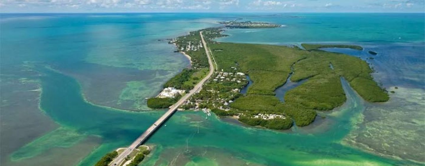 Destinos de pesca: Pesca en los Cayos de Florida, el paraíso de la pesca marítima